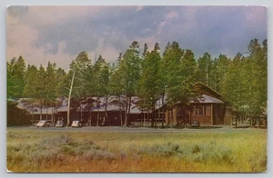 Postcard Yellowstone Wyoming WY Lake Lodge Cabins Pine Trees 1950s Chrome View - Picture 1 of 2