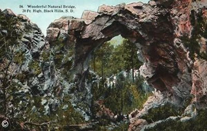 Cartolina Meraviglioso Ponte Natura Colline Nere South Dakota - Foto 1 di 3