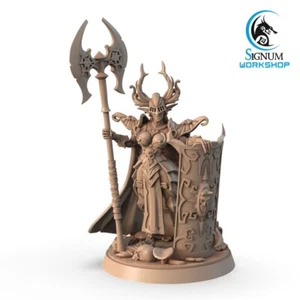 Bariel - Tanque Paladín Mujer Elfa - Juegos Signum - Fantasy Dungeons and Dragons - Imagen 1 de 2