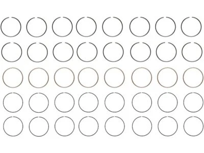 Anillo de pistón Hastings 28455NCWH 7,5 L V8 para Buick Century 1973-1974 Foto 1 de 2