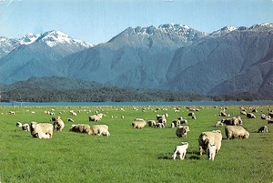 NEW ZELAND LAKE TE ANAU - Picture 1 of 2