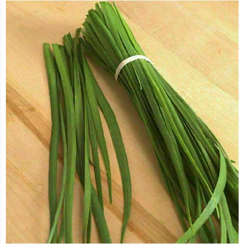 ALLIUM TUBEROSUM - AGLIO CINESE, 50 semi + OMAGGIO - Immagine 1 di 1