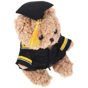 Graduation Plush Bear Graduation Bear Decoration Stuffed Bear Graduation Plush - Picture 1 of 12