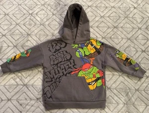 Kids 3T-4T Nickelodeons Teenage Mutant Ninja Turtles Gray Hoodie TMNT 14.5x16.5 - Picture 1 of 4