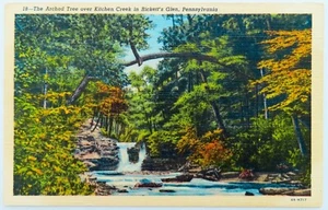 Postal Tree Kitchen Creek Pennsylvania de colección de lino Ricketts Glen Waterfall - Imagen 1 de 2
