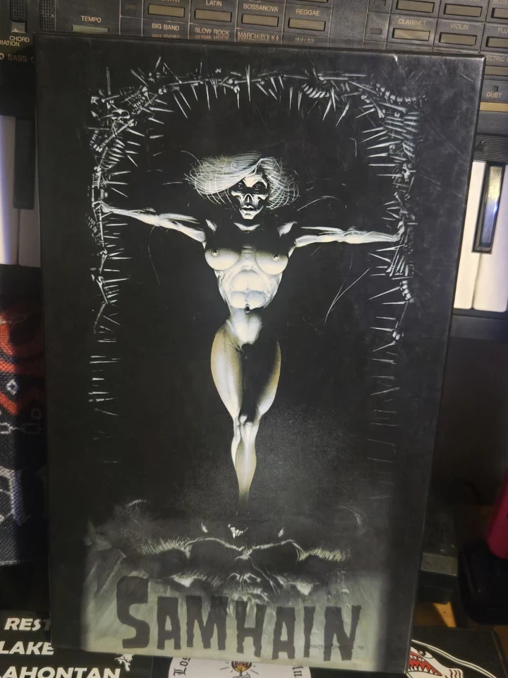 SAMHAIN CD Box Set (5 CD/comic/booklet/VHS box) DANZIG MISFITS Complete — 第 1/4 张图片