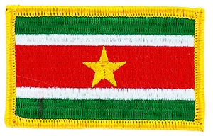 FLAG PATCH PATCHES SURINAME  COUNTRY  IRON ON EMBROIDERED SMALL - Picture 1 of 1
