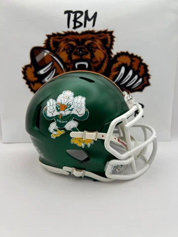 Miami Ibis Custom Concept Green Satin Mini Helmet Cover