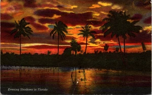 Tarjeta postal Evening Shadows FL 1907 Violet Meredeth Blizzard ayer - Imagen 1 de 2