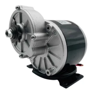 DC 12V 24V 36V Electric Tricycle Bicycle Motor Gear Motor MY1016Z 250W 350W New - Picture 1 of 9