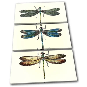 Dragonfly Botanical Paint Vintage TREBLE CANVAS WALL ART Picture Print - Picture 1 of 1