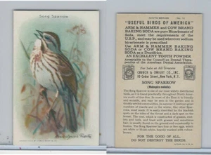 J9-5, Church & Dwight, Useful Birds America 9th Ser., 1925, #12 Song Sparrow - Picture 1 of 1