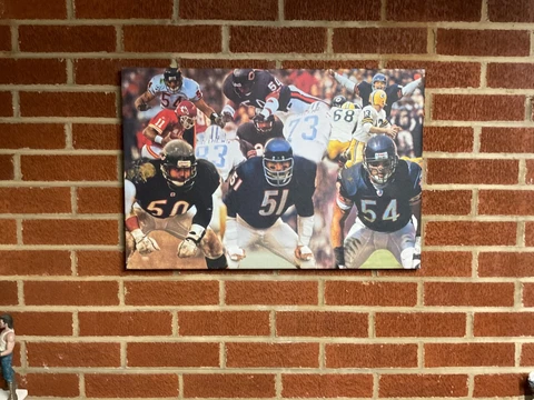 24x16 CHICAGO BEARS DICK BUTKUS framed CANVAS Print poster Brian Urlacher art!!! Cover