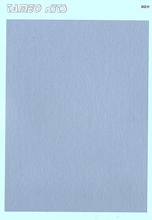decal 1/43 ARGENTO  Tameo DG11 - Immagine 1 di 1