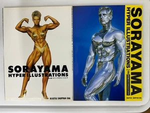 Hajime Sorayama Hyper Illustrations Book Set Part1 & Part2 Rare 28x21 Art Books - Bild 1 von 14