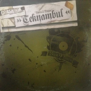 Teknambul - Born 2 Burn CRASHDISK 02 12"Vinyl OLDSCHOOL HARDTEK TRIBE FRA 2005 - Picture 1 of 2