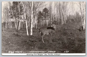 Postcard RPPC Northwoods Deer Greetings From Douglas Lake Pellston, MI I9 - Picture 1 of 2