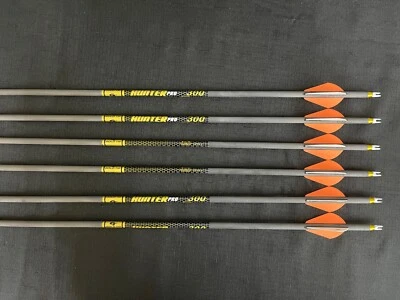 Gold Tip Hunter Pro 300 Carbon Arrows  w/ 2" Raptor-X Vanes 6pk BRAND NEW - Image 1 of 4