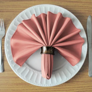 SimplyPoly 17x17 Inch Cloth Napkins - Picture 1 of 199
