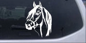 Long Mane Horse Head Car or Truck Window Laptop Decal Sticker - Foto 1 di 32