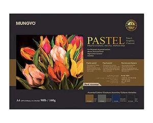 Premium Pastel Paper Pad 98lb A4 30 Sheets 11.78 x 8.3 Assorted Colors  New - Picture 1 of 2