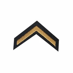 Military Private Iron On Embroidered Applique Patch - Picture 1 of 1