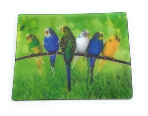 Budgerigars Birds Parakeets 9x7cm 3D Refrigerator Magnet Card Picture - Picture 1 of 2