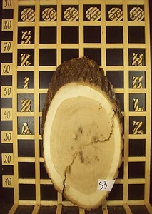 S3 Baumscheibe  Holzscheibe Holz Eiche  massiv 50mmx20-34cm Länge 67cm - Bild 1 von 3