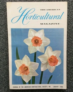 Narzissen - American Horticultural Magazine - Bild 1 von 2