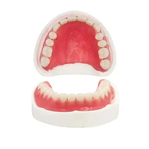 Protesi fai da te denti finti denti temporanei superiori e inferiori per migliorare Smi - Foto 1 di 6