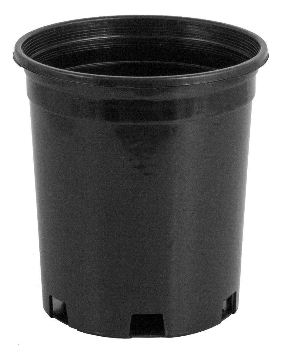 Hydrofarm 6 Zoll Pflanzkorb Mit Mesh-Boden – Runder, Weiter Rand, Für Deep Water Culture (DWC)