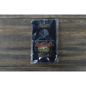 Spilla Harley Davidson Newnan GA grandi motociclette sud - Foto 1 di 4