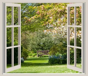 WindowsDirect.us domain name - Picture 1 of 1
