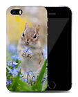 Case Cover For Apple Iphone|cute Adorable Squirrel Rodent #9