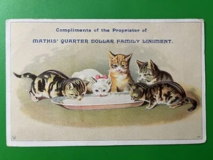 Mathis' Quarter Dollar Family Liniment Trade Card ~ 1800's Quack Medicine Ad - Picture 1 of 2