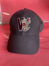 Wisconsin Timber Rattlers Minor League Baseball Cap Embroidered Strapback Black