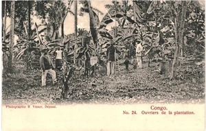 CPA Carte Postale Congo Français Ouvriers de plantation VM87625ok - Imagen 1 de 2