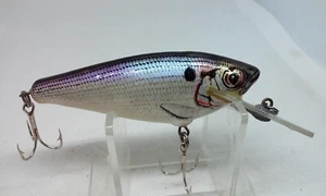 Bagley Diving Small Fry Shad Shad on White SH4 3" All Brass Crankbait Fish Lure - Picture 1 of 8