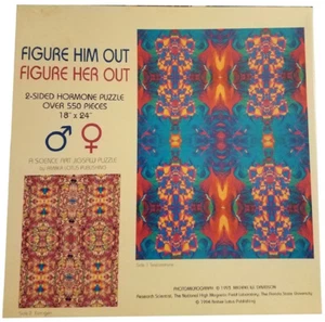 Descifrarlo/Figurarla; rompecabezas hormonal de 2 lados (Amber Lotus; 1994) - Imagen 1 de 2