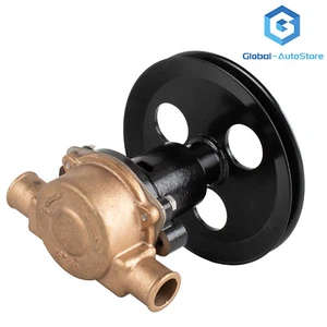 For Sherwood Pleasurecraft Jabsco G20 G21 Water Pump 188300010 RA057007  - Picture 1 of 8