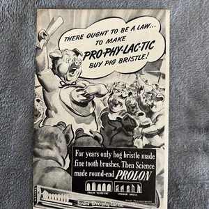 Prolon Hog Bristle Toothbrushes Anthropomorphic Pig Florence MA Print Ad 1944 - Picture 1 of 7