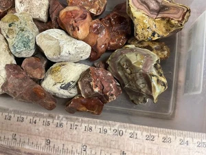 Z~ Royal Imperial Jasper grezzo 5 libbre # 4 - Foto 1 di 7
