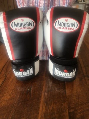 Morgan Classic Boxing Gloves 14oz Morgan Sports - image 1 of 4