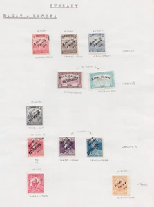 1919 HUNGARY Serbian Occupation BANAT BASKA ISSUE ON PAGE ALBUM Banat, Bačka - Picture 1 of 1