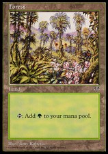 Forest (Pink Flowers Right) X4 (Mirage) MTG (NM) *CCGHouse* Magic