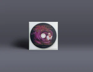 Donna Summer 'LaVie En Rose'remixed by Jay Style Promo cd - Bild 1 von 2