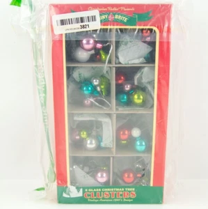 Radko Shiny Brite Weihnachtscluster Neu im Paket Minus zwei Ornamente 2020 - Bild 1 von 8