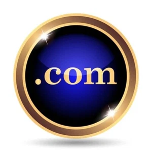 Premium Domain Name ZBVL.com 4 Letters Brandable Business Potential - Picture 1 of 1