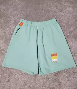 NWT Nike Shorts Mens Size XXL 2XL Green Sweat Casual Standard Fit Embroidered - Picture 1 of 13