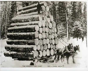 Récord mundial de carga de troncos cortados en Michigan Chicago Feria Mundial 1893 DEBE VER - Imagen 1 de 1